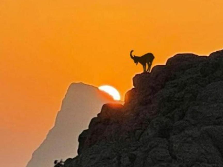 Jabal Shams Bayt Kawakib Villa Misfāh Kültér fotó